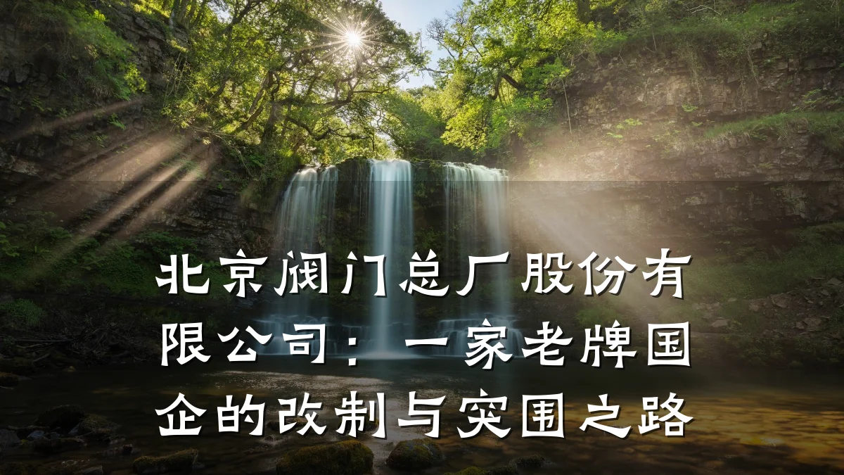 北京阀门总厂股份有限公司：一家老牌国企的改制与突围之路