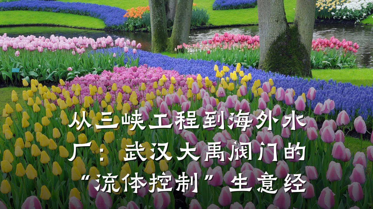 从三峡工程到海外水厂：武汉大禹阀门的“流体控制”生意经