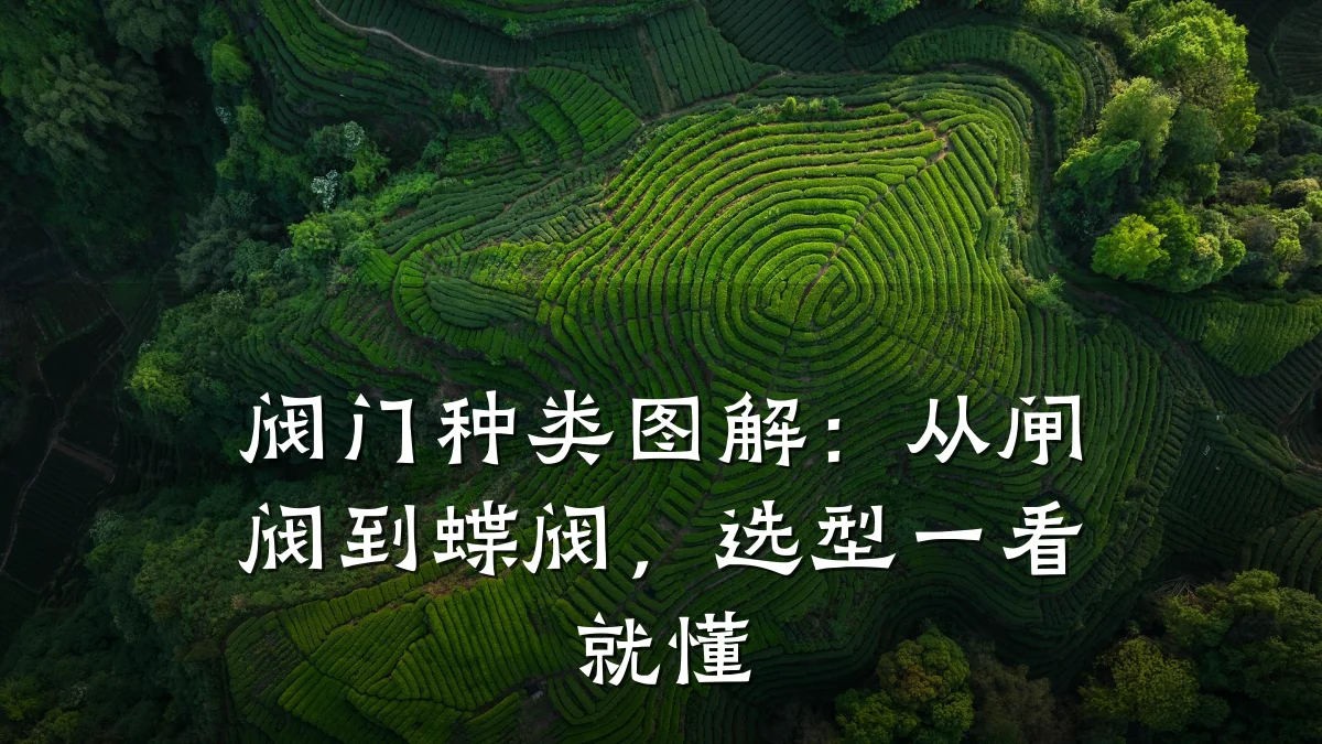 阀门种类图解：从闸阀到蝶阀，选型一看就懂