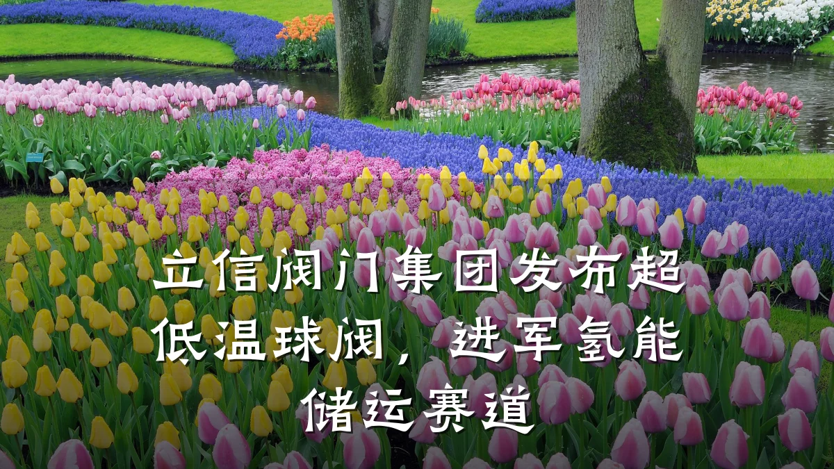 立信阀门集团发布超低温球阀，进军氢能储运赛道