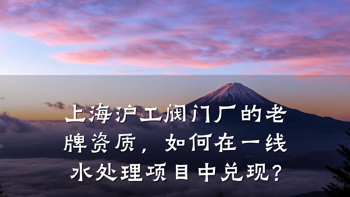 上海沪工阀门厂的老牌资质，如何在一线水处理项目中兑现？