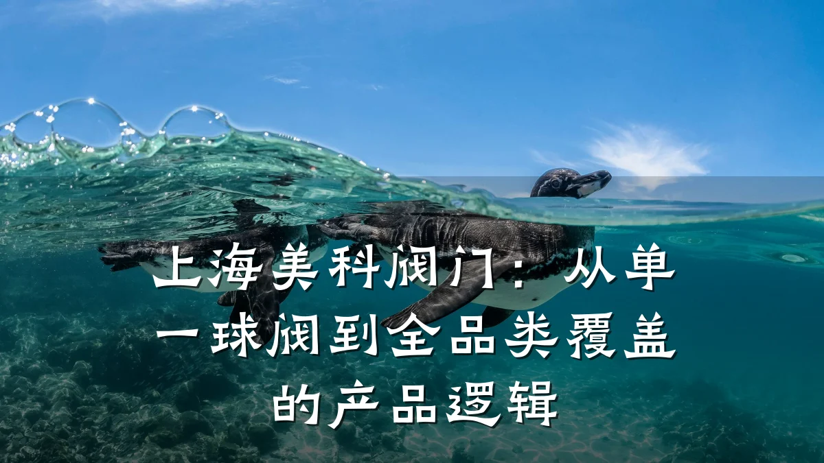 上海美科阀门：从单一球阀到全品类覆盖的产品逻辑