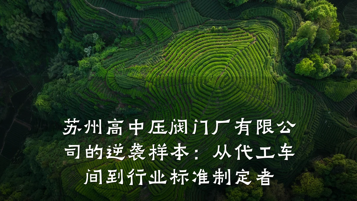 苏州高中压阀门厂有限公司的逆袭样本：从代工车间到行业标准制定者