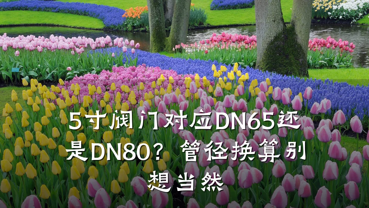 5寸阀门对应DN65还是DN80？管径换算别想当然