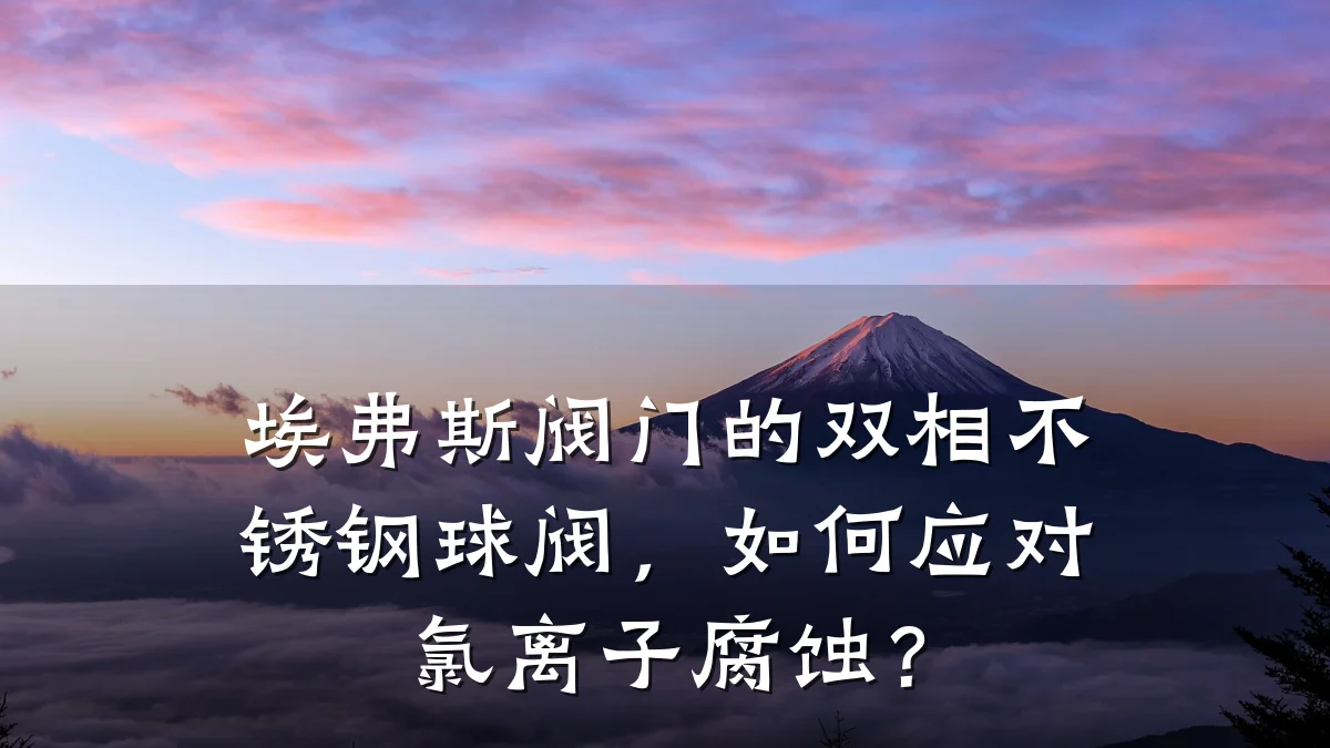 埃弗斯阀门的双相不锈钢球阀，如何应对氯离子腐蚀？