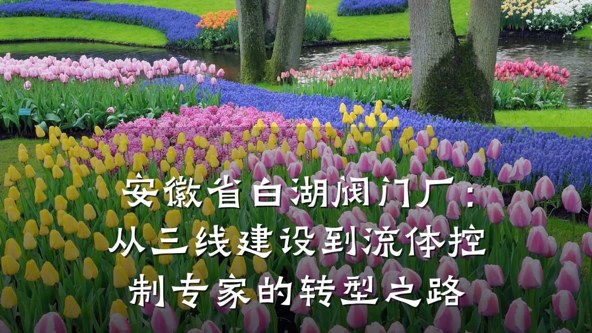 安徽省白湖阀门厂：从三线建设到流体控制专家的转型之路