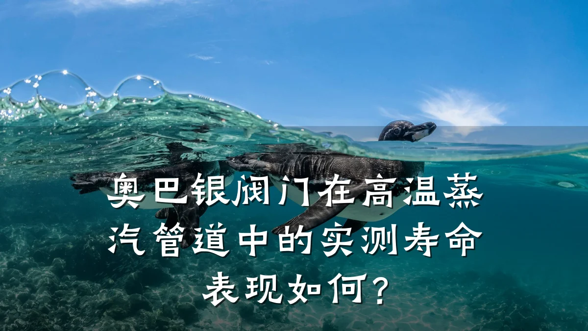 奥巴银阀门在高温蒸汽管道中的实测寿命表现如何？
