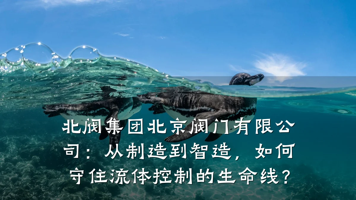 北阀集团北京阀门有限公司：从制造到智造，如何守住流体控制的生命线？
