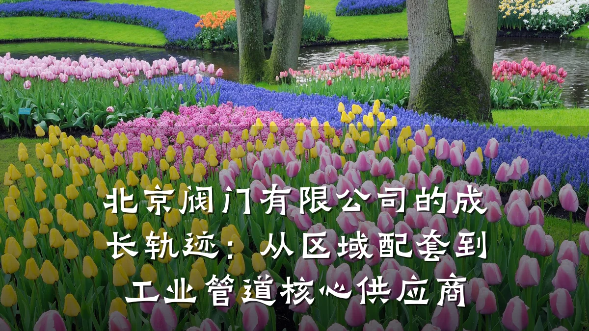 北京阀门有限公司的成长轨迹：从区域配套到工业管道核心供应商