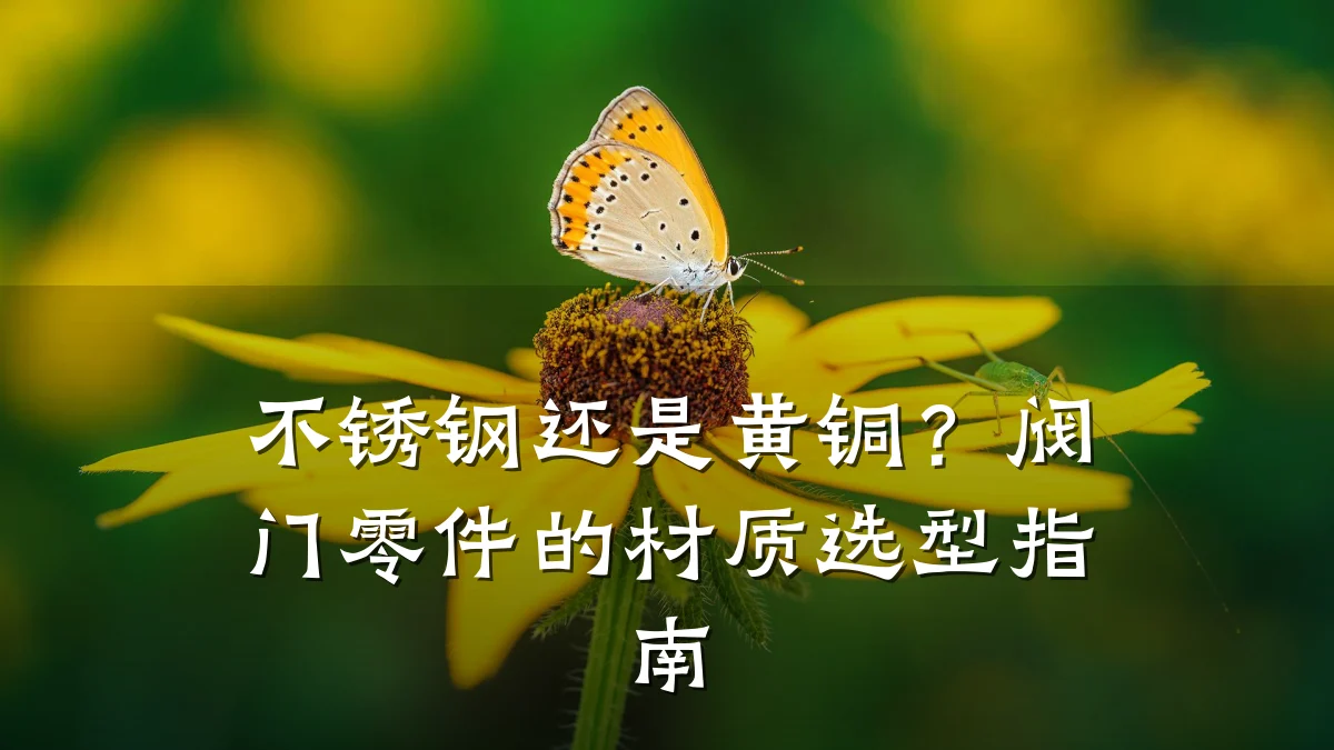 不锈钢还是黄铜？阀门零件的材质选型指南