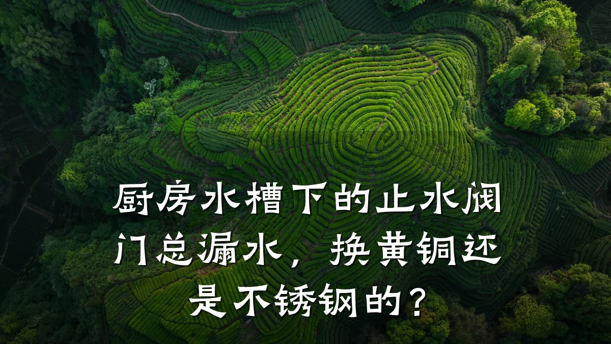厨房水槽下的止水阀门总漏水,换黄铜还是不锈钢的?
