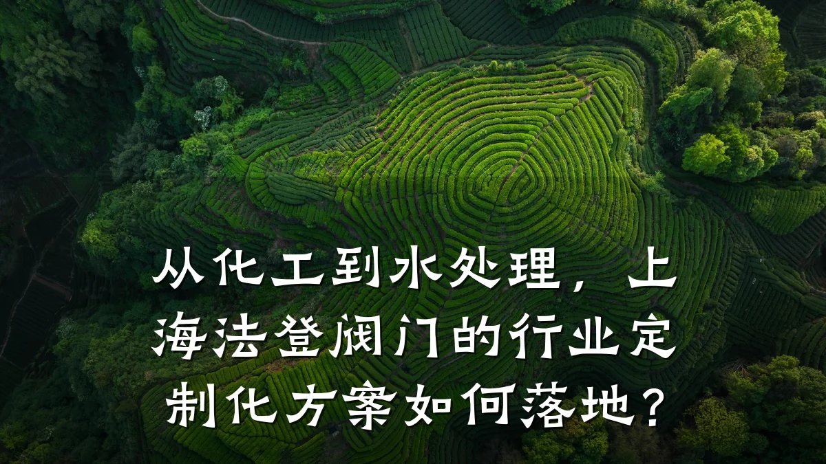 从化工到水处理，上海法登阀门的行业定制化方案如何落地？