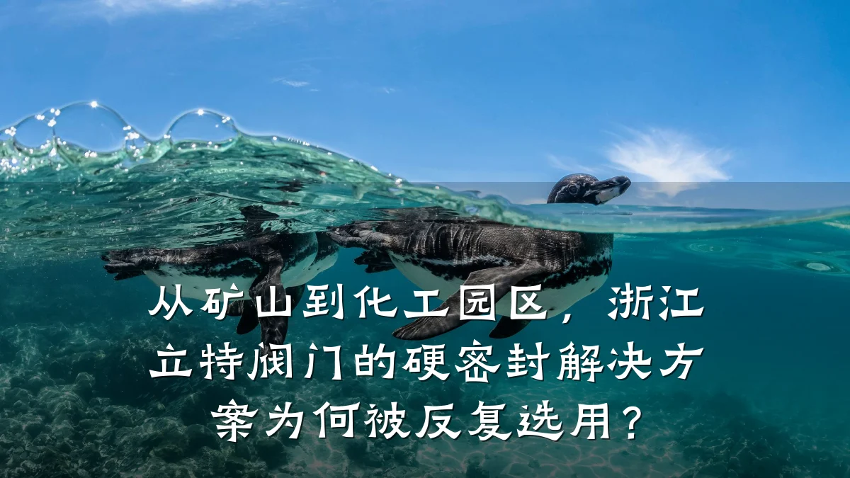 从矿山到化工园区，浙江立特阀门的硬密封解决方案为何被反复选用？