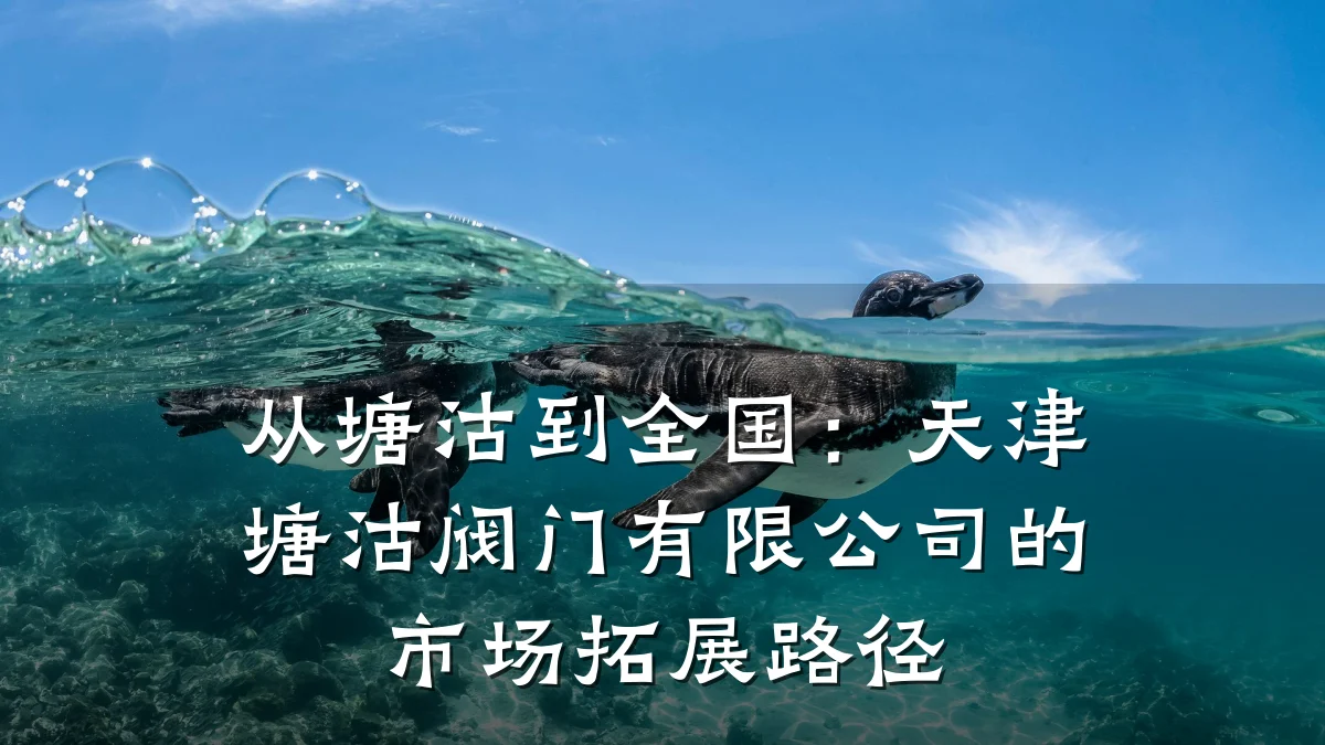 从塘沽到全国:天津塘沽阀门有限公司的市场拓展路径