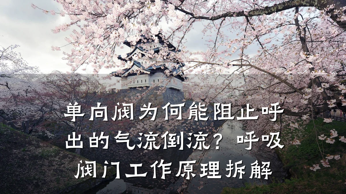 单向阀为何能阻止呼出的气流倒流？呼吸阀门工作原理拆解