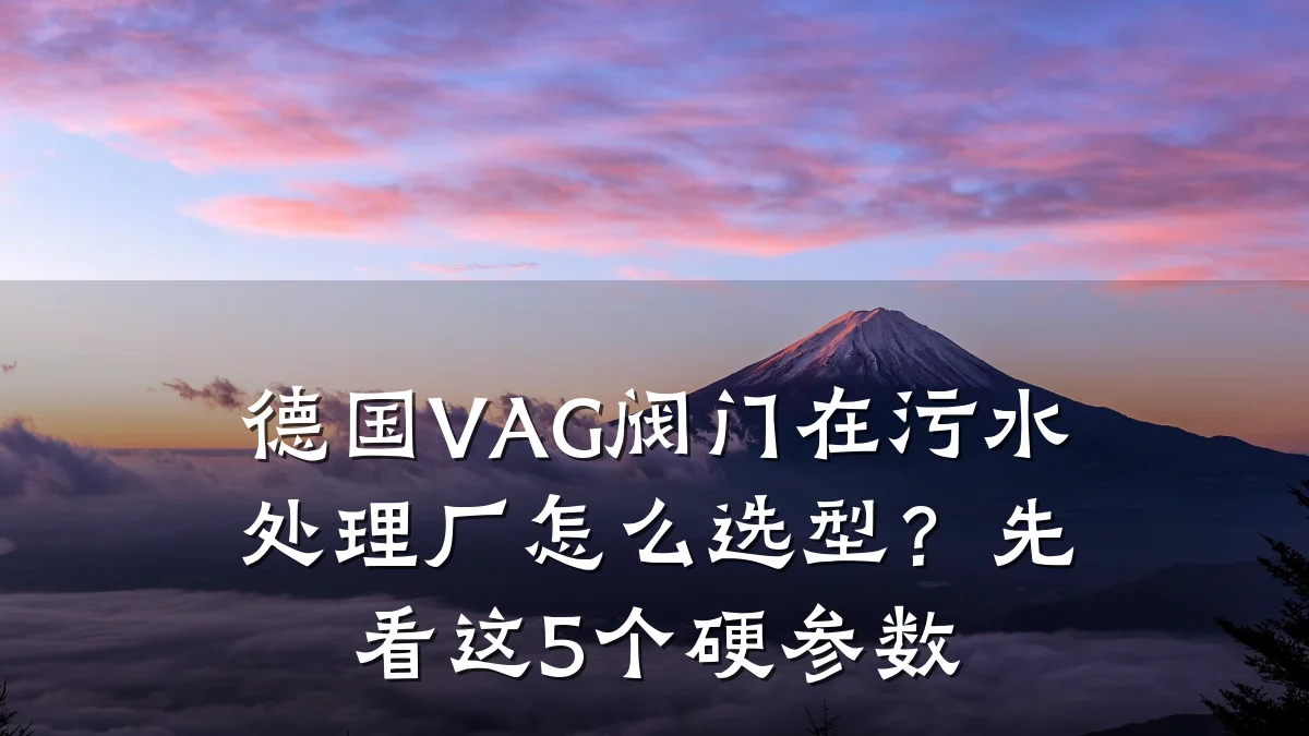 德国VAG阀门在污水处理厂怎么选型？先看这5个硬参数