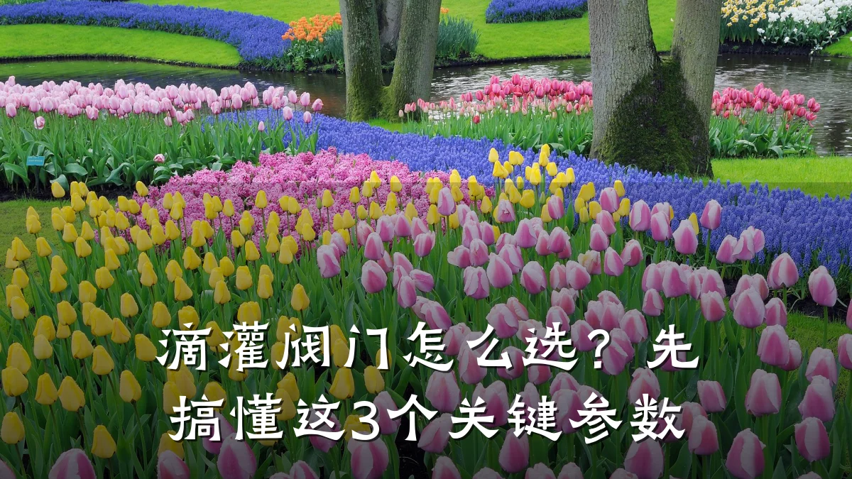滴灌阀门怎么选?先搞懂这3个关键参数