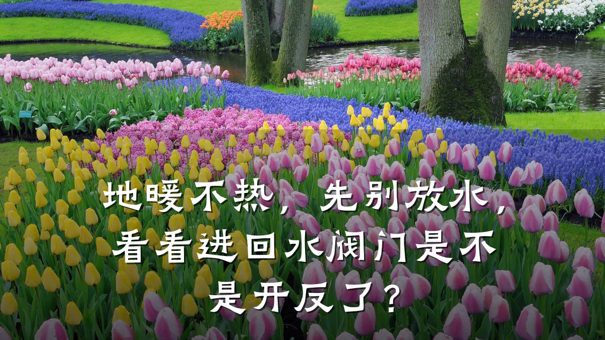 地暖不热，先别放水，看看进回水阀门是不是开反了？