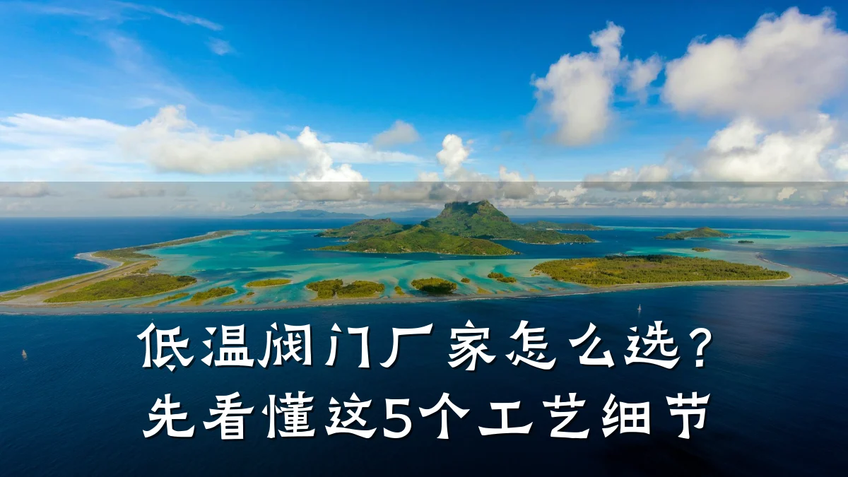 低温阀门厂家怎么选?先看懂这5个工艺细节