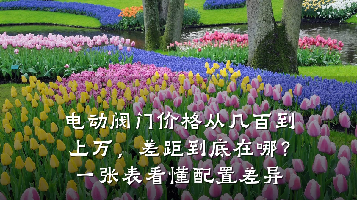 电动阀门价格从几百到上万，差距到底在哪？一张表看懂配置差异