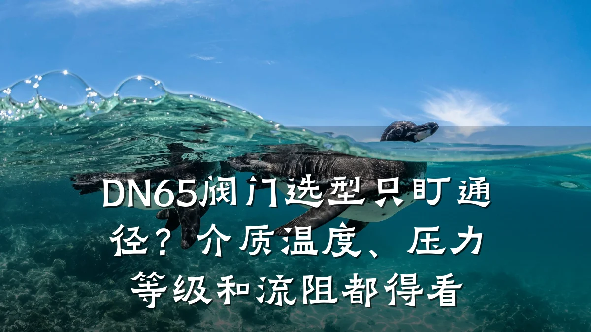DN65阀门选型只盯通径？介质温度、压力等级和流阻都得看