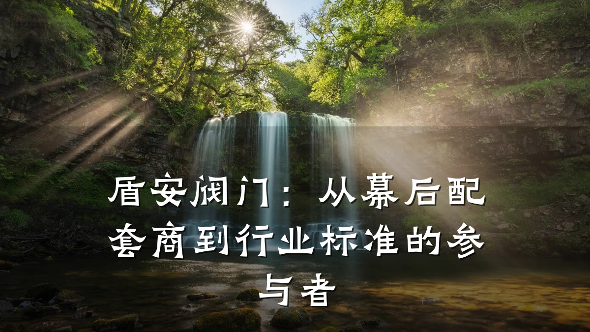 盾安阀门：从幕后配套商到行业标准的参与者