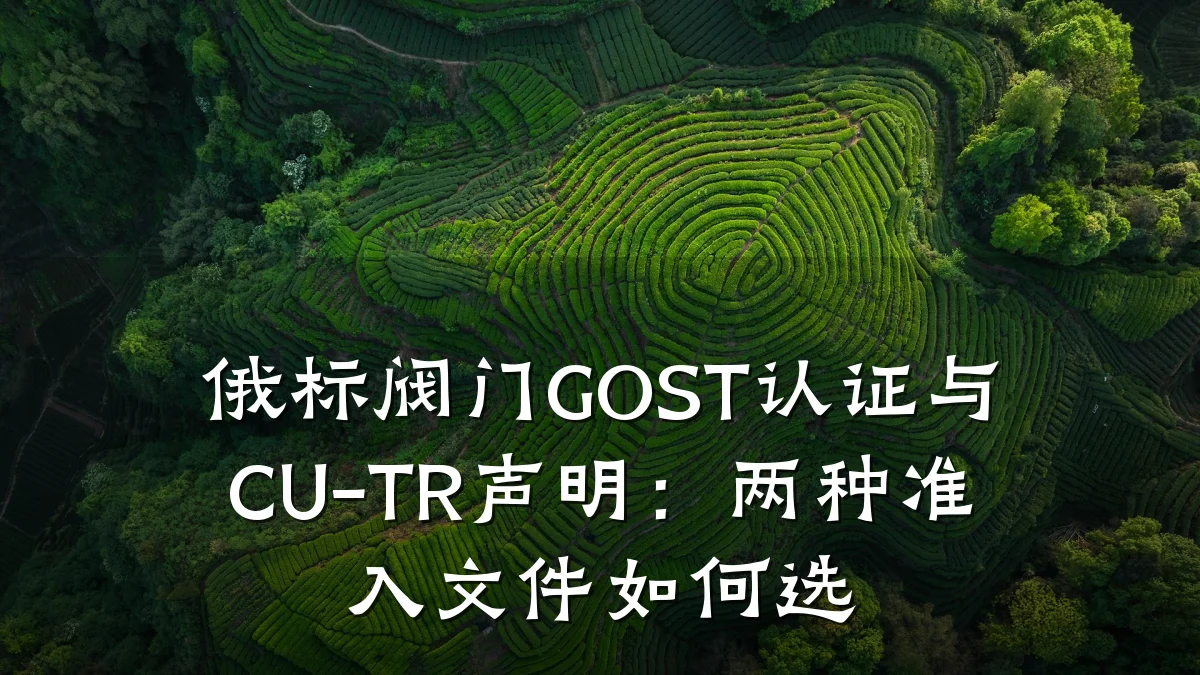 俄标阀门GOST认证与CU-TR声明：两种准入文件如何选