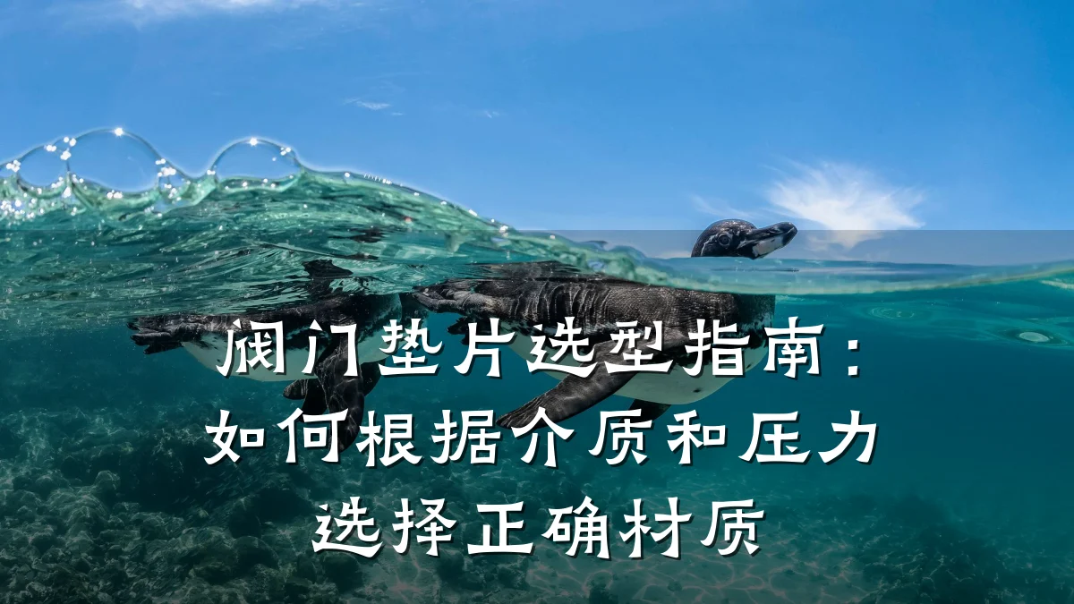 阀门垫片选型指南：如何根据介质和压力选择正确材质