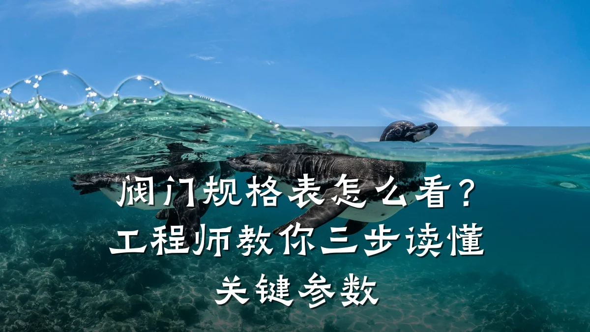 阀门规格表怎么看？工程师教你三步读懂关键参数