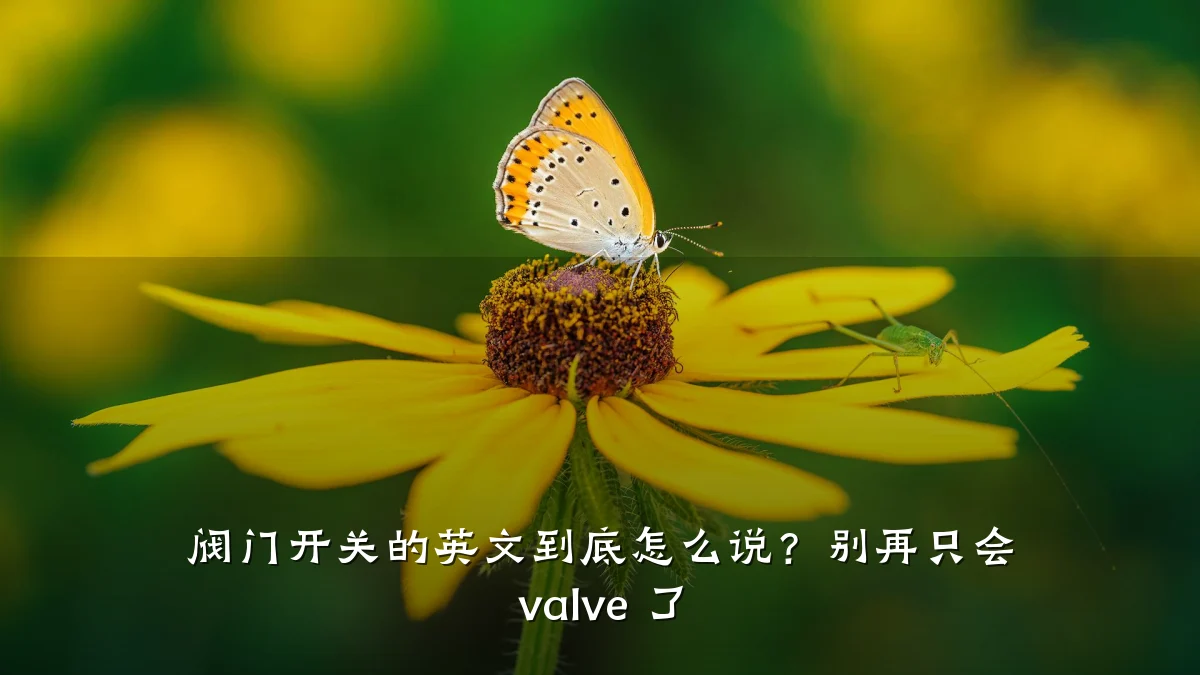 阀门开关的英文到底怎么说？别再只会 valve 了