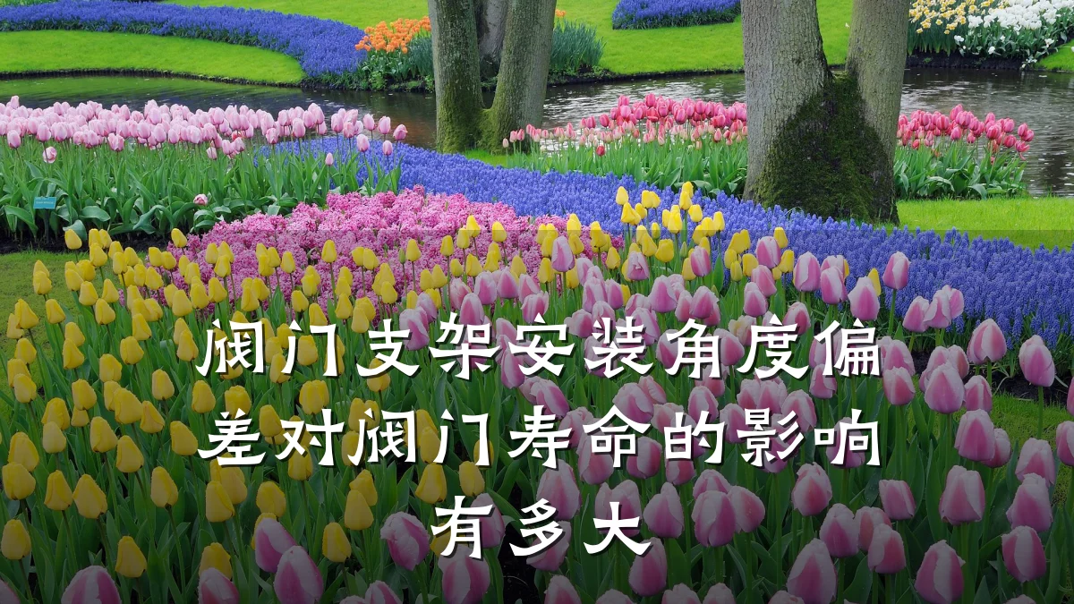 阀门支架安装角度偏差对阀门寿命的影响有多大
