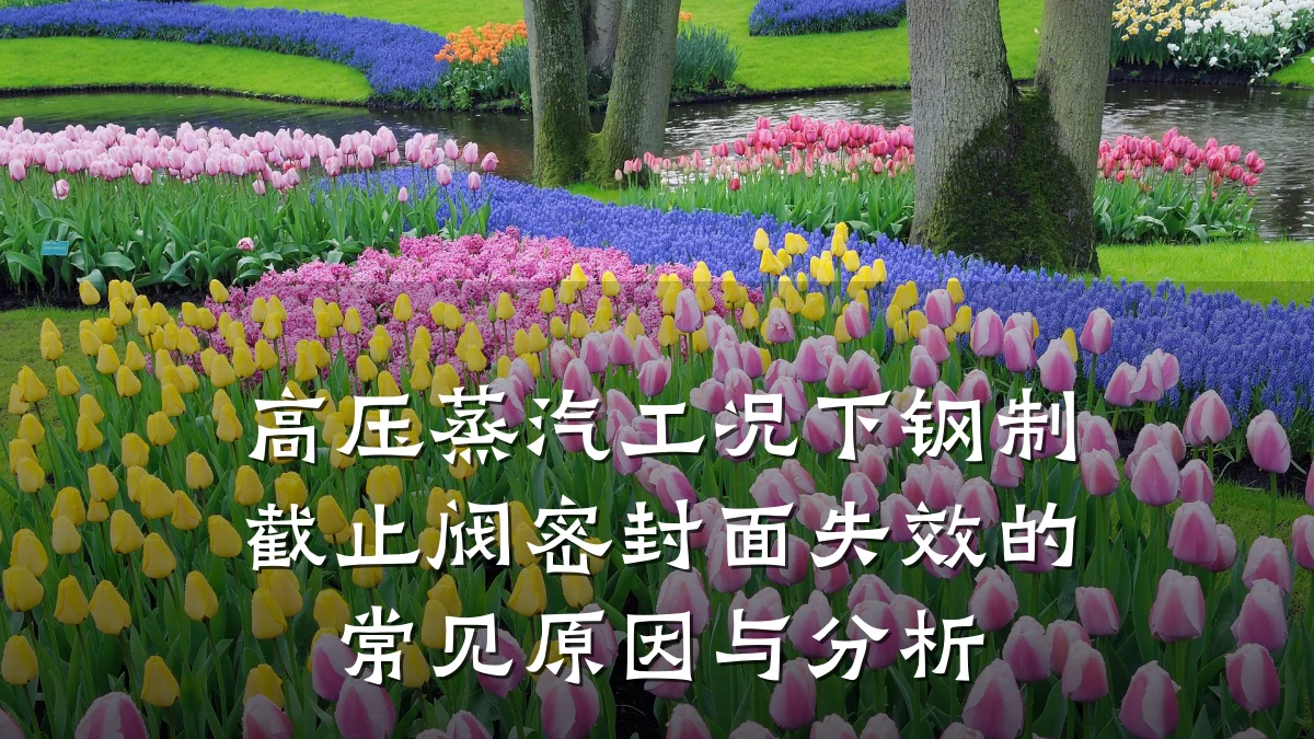 高压蒸汽工况下钢制截止阀密封面失效的常见原因与分析