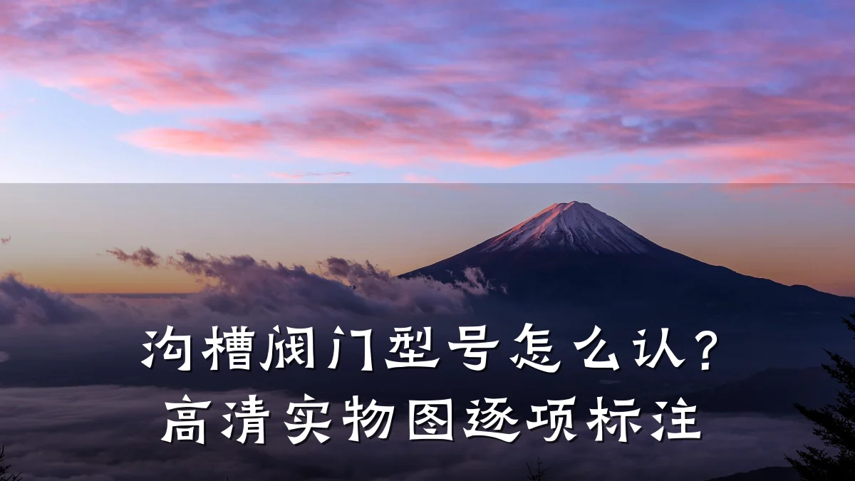 沟槽阀门型号怎么认？高清实物图逐项标注