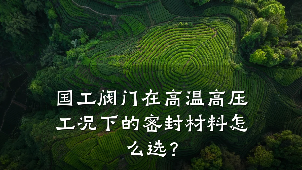 国工阀门在高温高压工况下的密封材料怎么选？