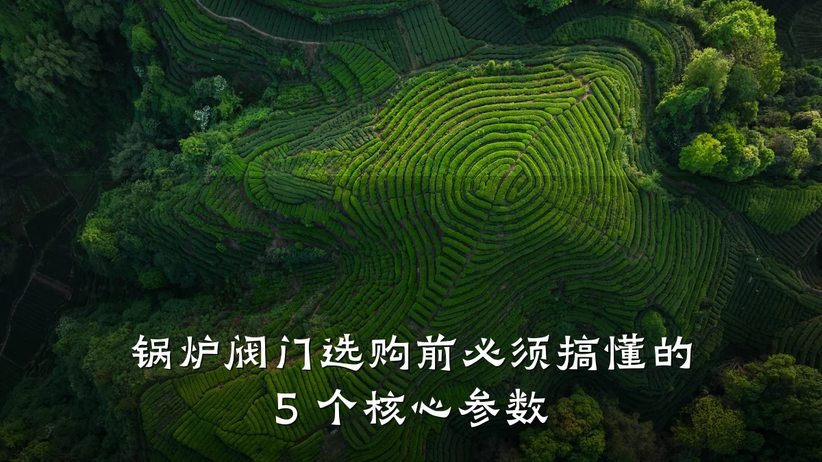 锅炉阀门选购前必须搞懂的 5 个核心参数