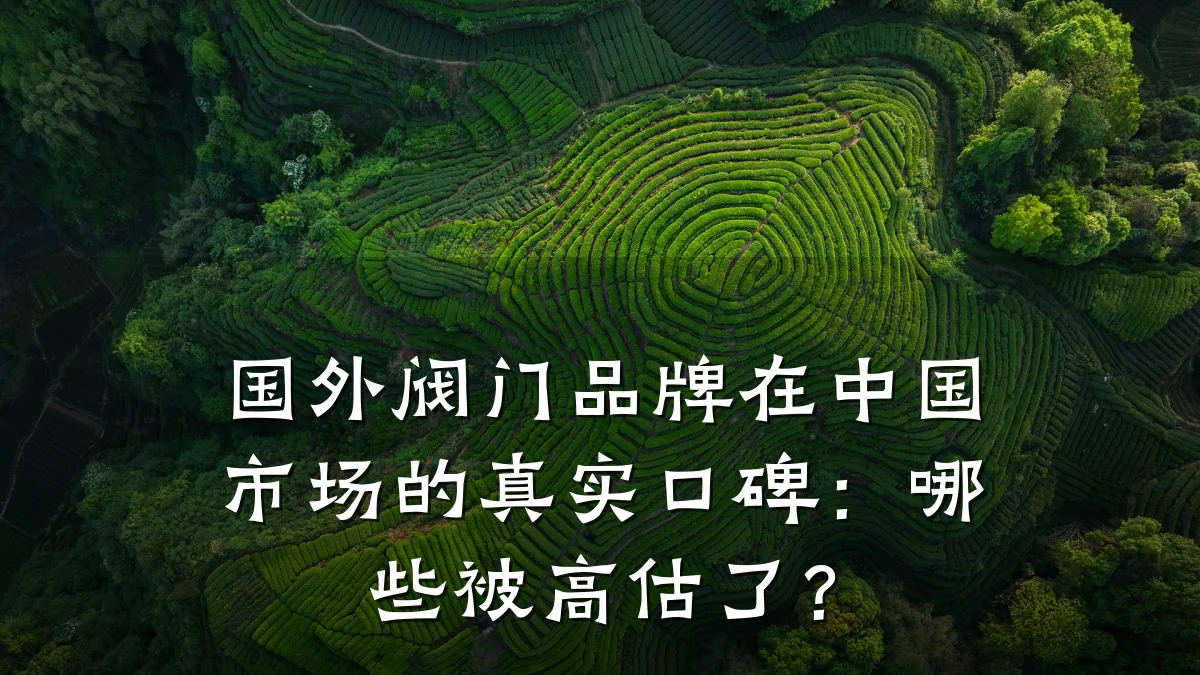 国外阀门品牌在中国市场的真实口碑：哪些被高估了？