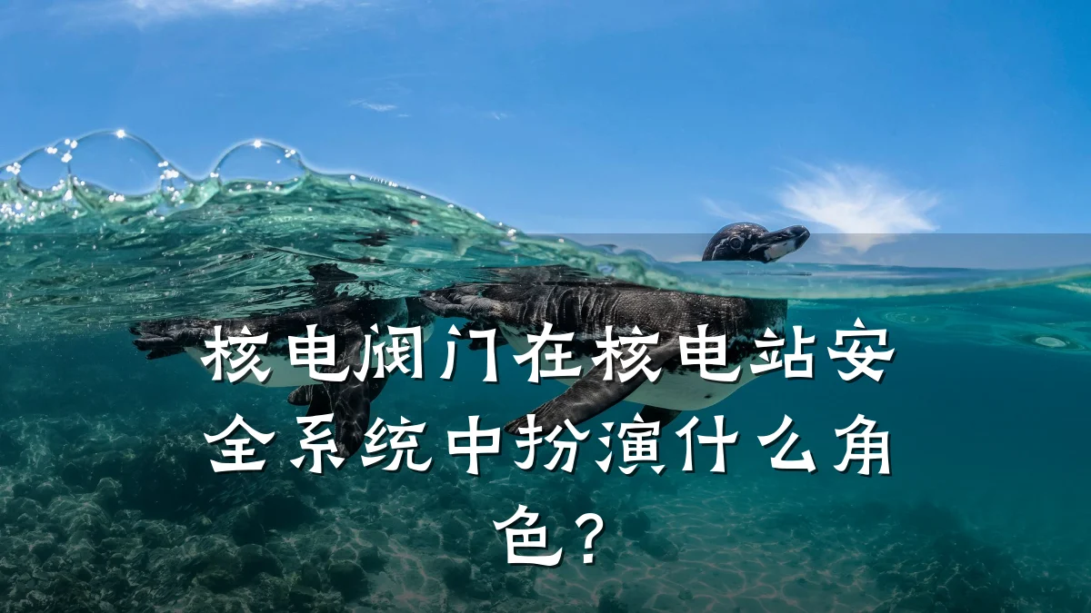 核电阀门在核电站安全系统中扮演什么角色？