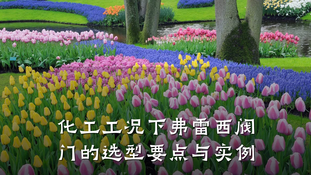 化工工况下弗雷西阀门的选型要点与实例