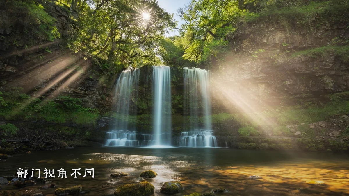 部门视角不同