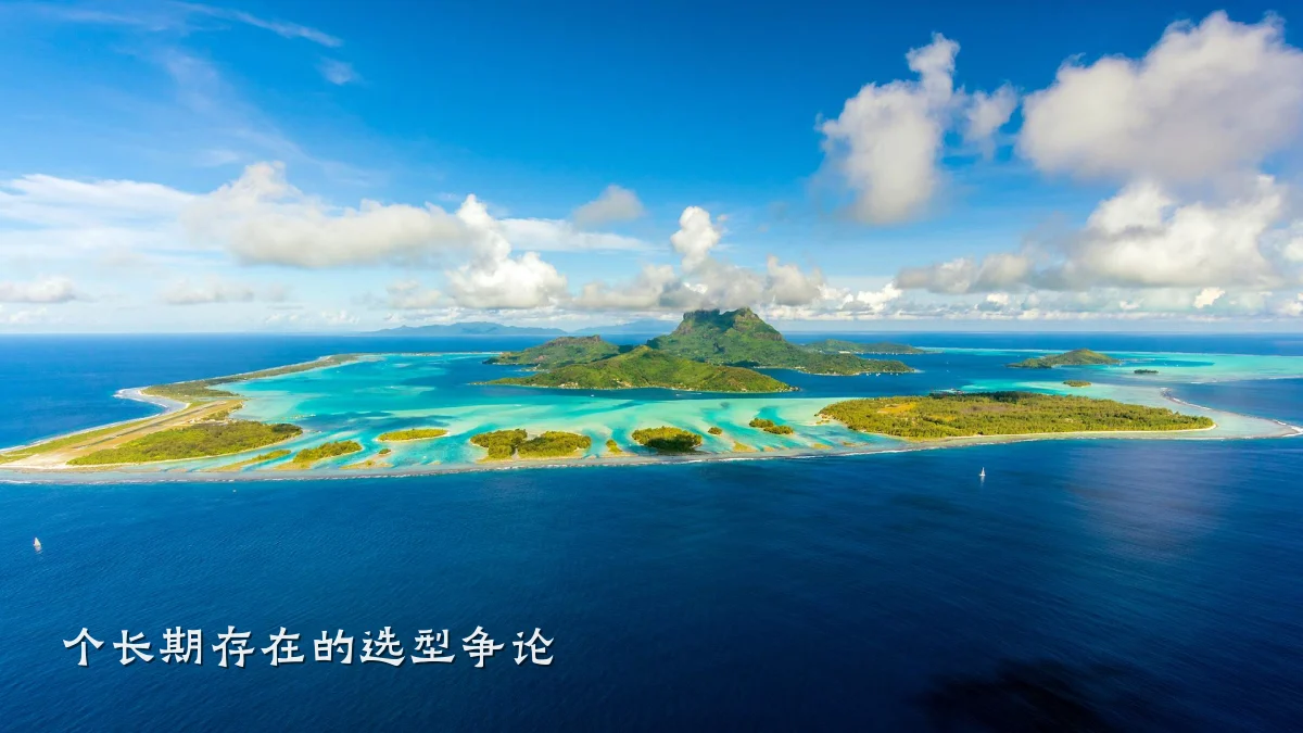 个长期存在的选型争论