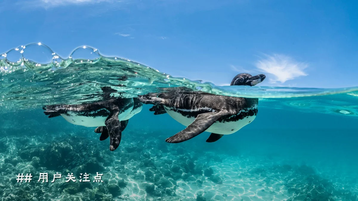 ## 用户关注点