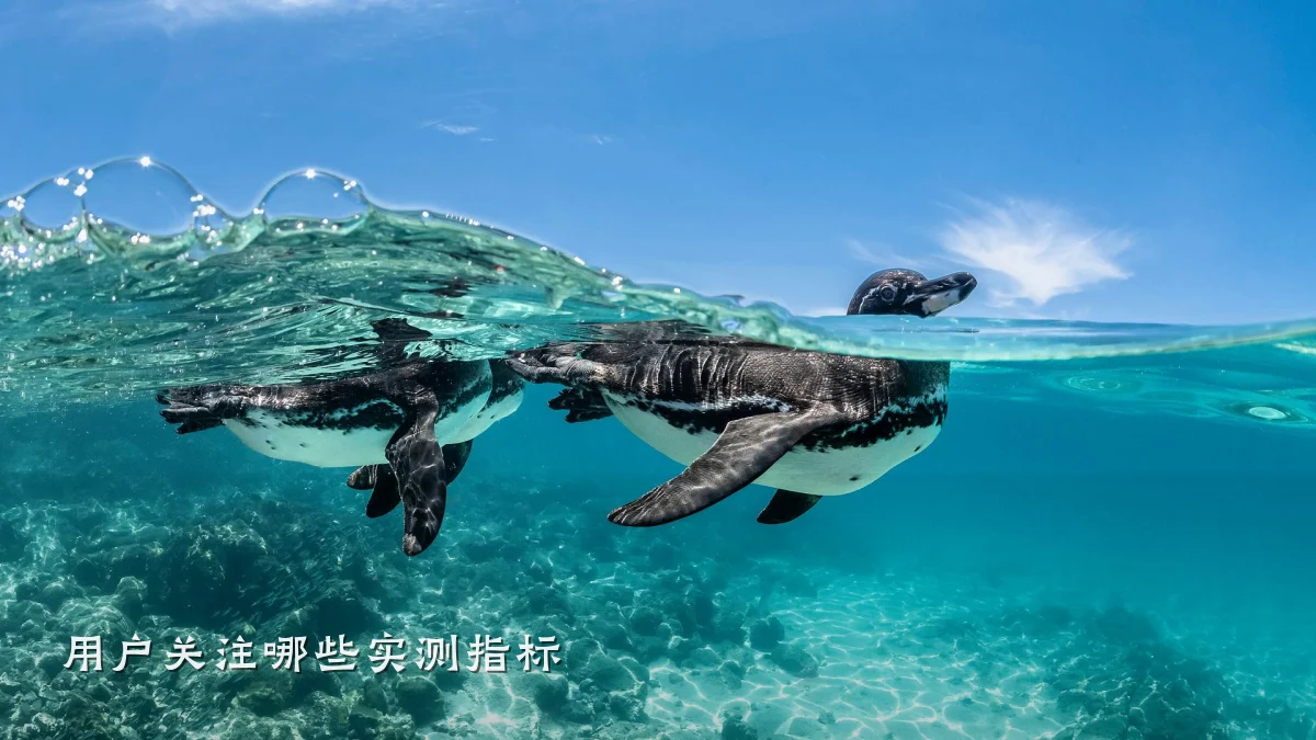用户关注哪些实测指标
