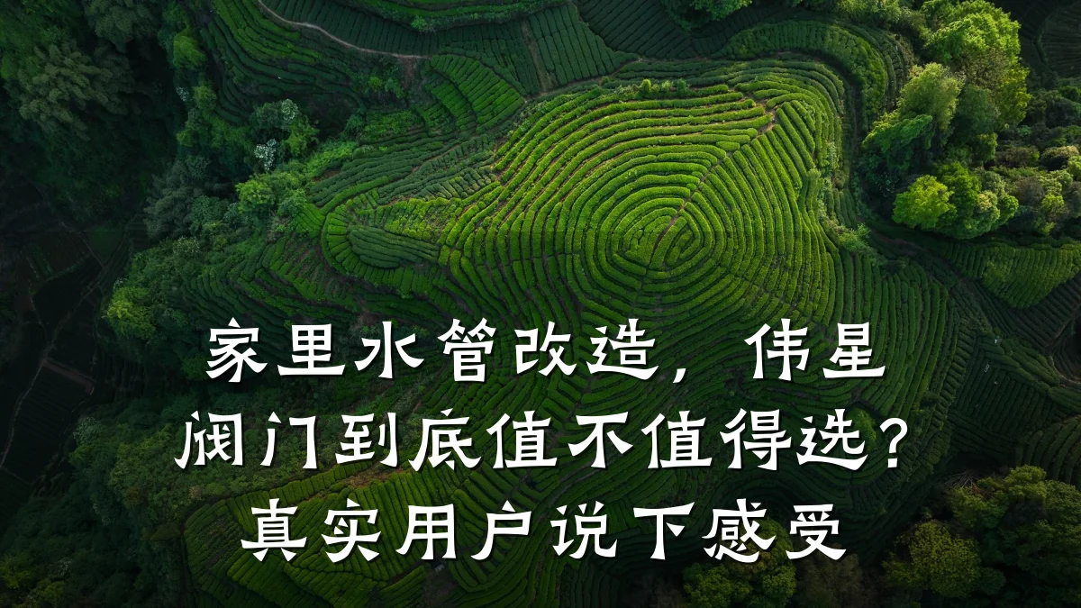 家里水管改造，伟星阀门到底值不值得选？真实用户说下感受