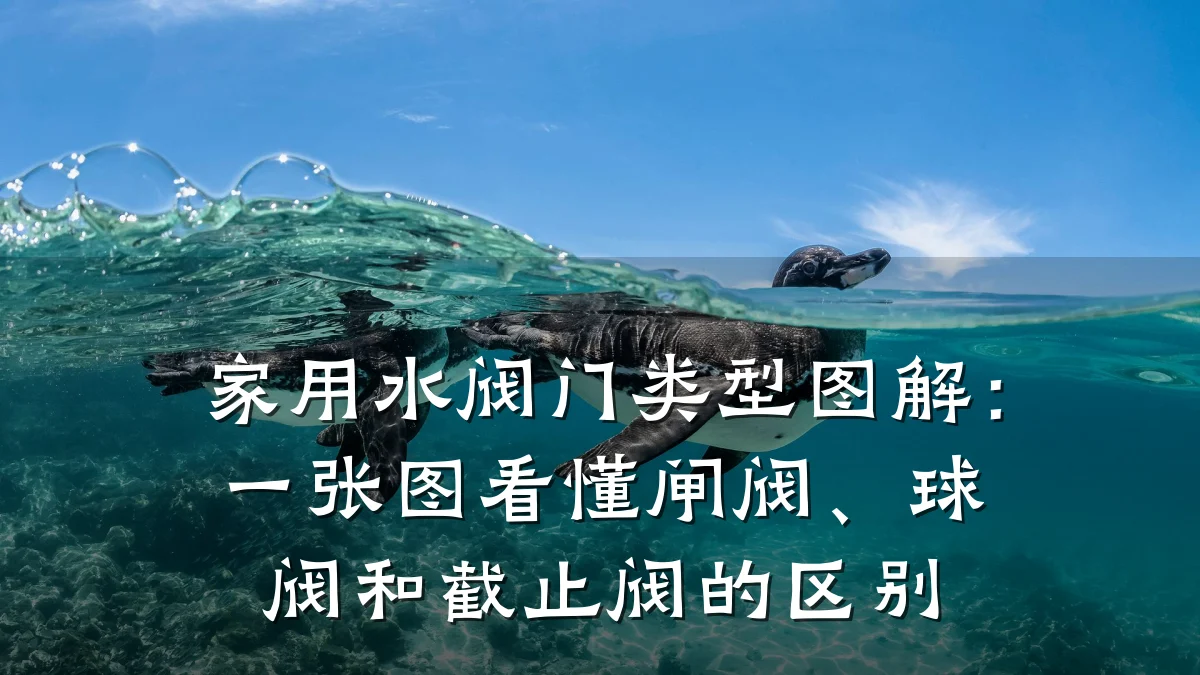 家用水阀门类型图解：一张图看懂闸阀、球阀和截止阀的区别