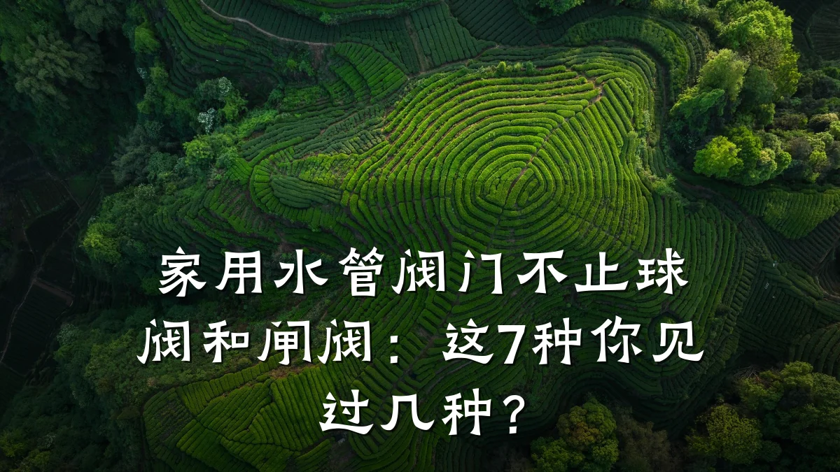 家用水管阀门不止球阀和闸阀：这7种你见过几种？