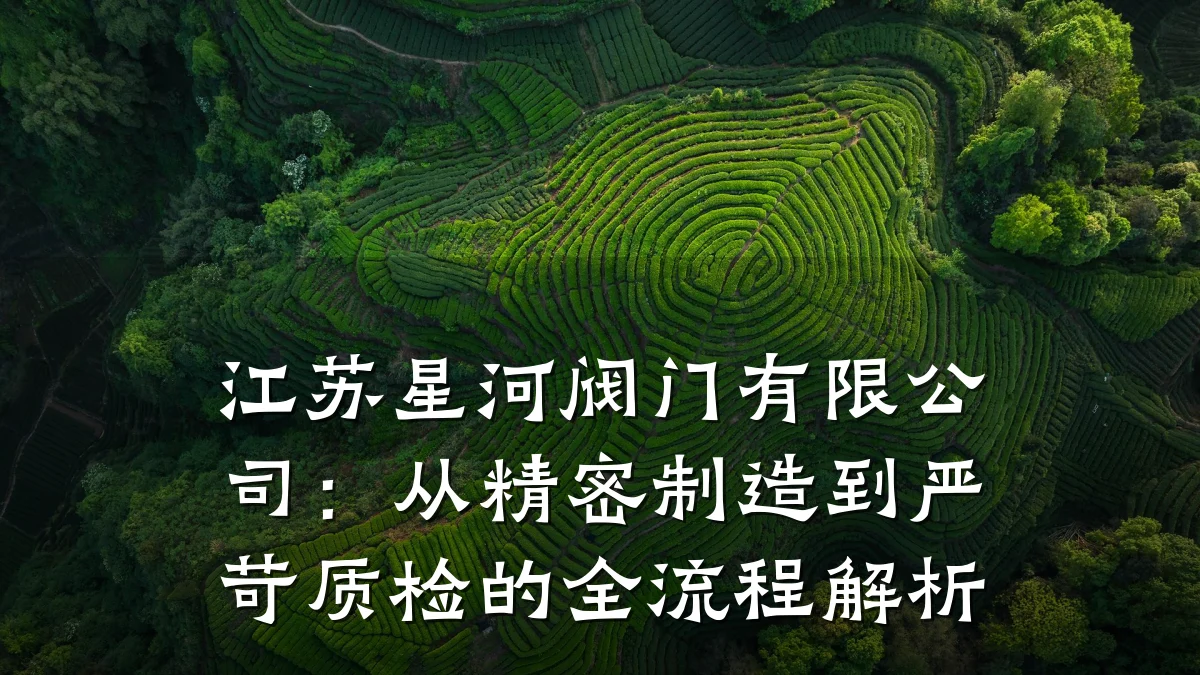 江苏星河阀门有限公司：从精密制造到严苛质检的全流程解析