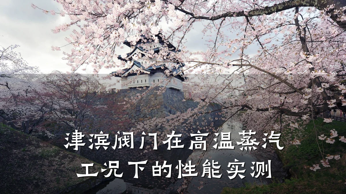 津滨阀门在高温蒸汽工况下的性能实测