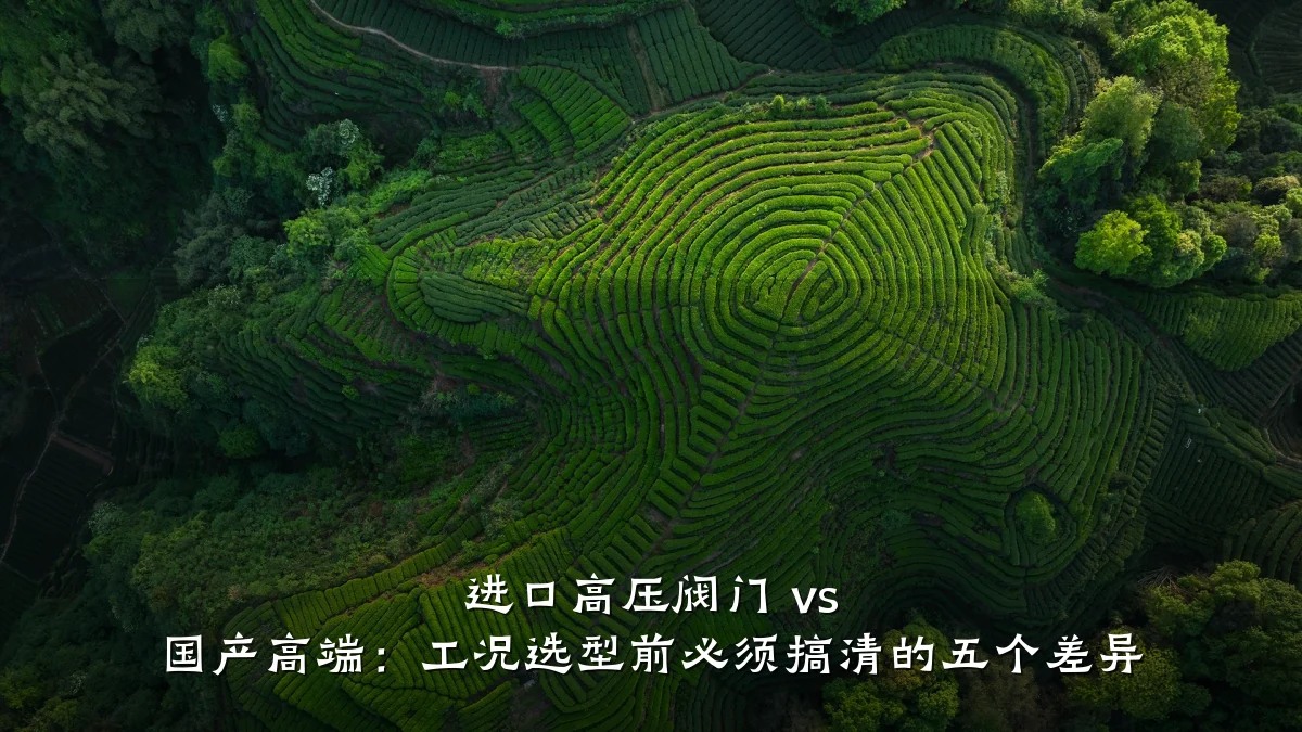 进口高压阀门 vs 国产高端：工况选型前必须搞清的五个差异