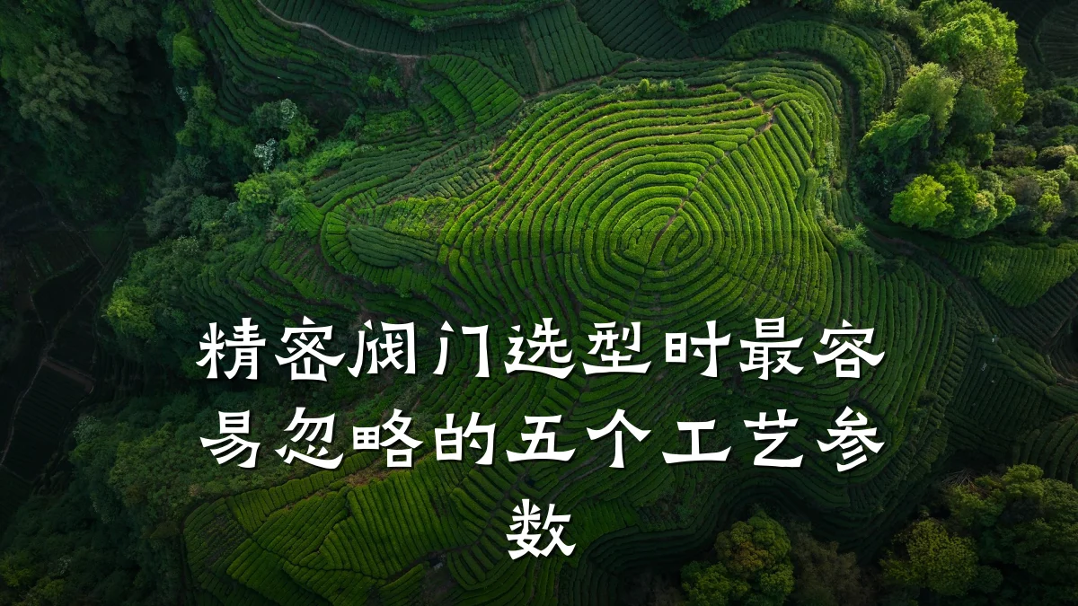 精密阀门选型时最容易忽略的五个工艺参数