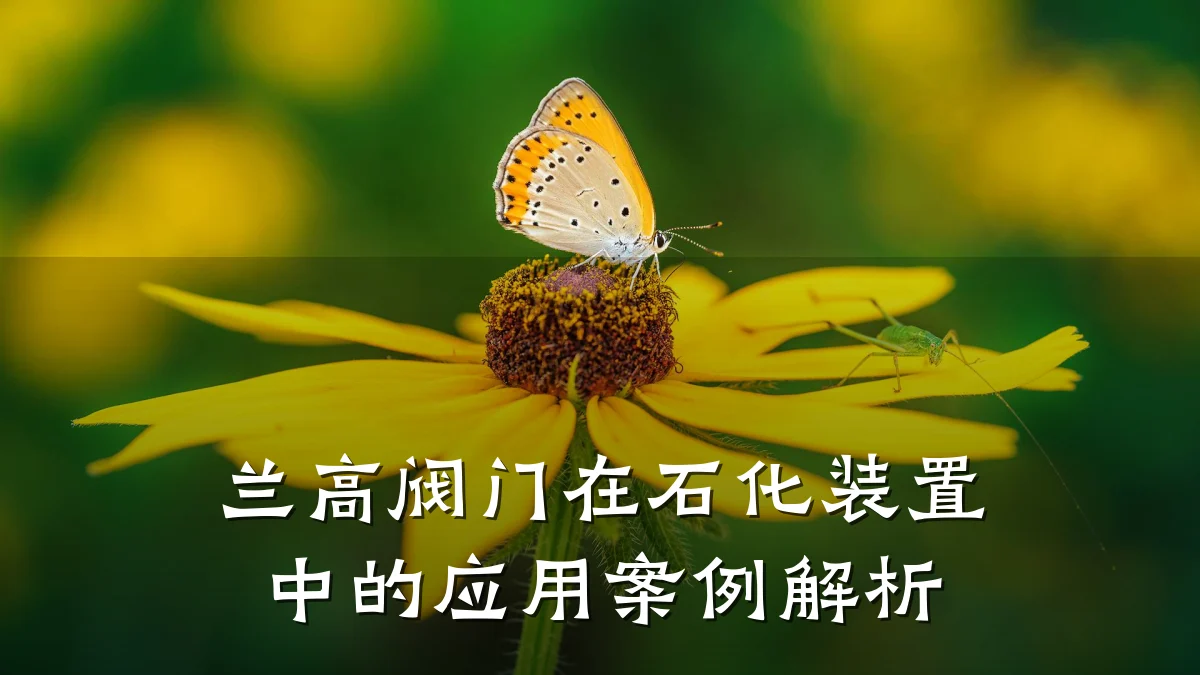兰高阀门在石化装置中的应用案例解析